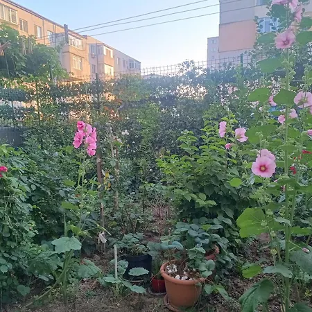 Apartamento 2 Mangalia, Parter-gradinita, 5 Min De Portul Turistic