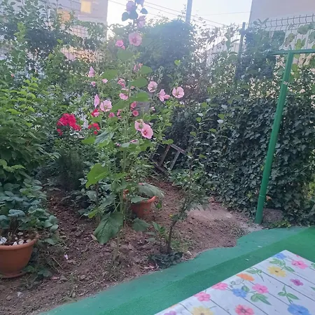 Apartamento 2 Mangalia, Parter-gradinita, 5 Min De Portul Turistic Mangalia