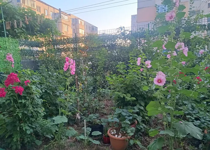 Appartement 2 Mangalia, Parter-gradinita, 5 Min De Portul Turistic